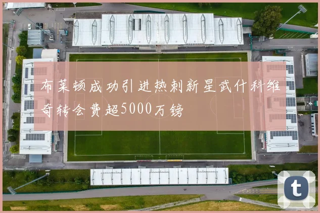 布莱顿成功引进热刺新星武什科维奇转会费超5000万镑