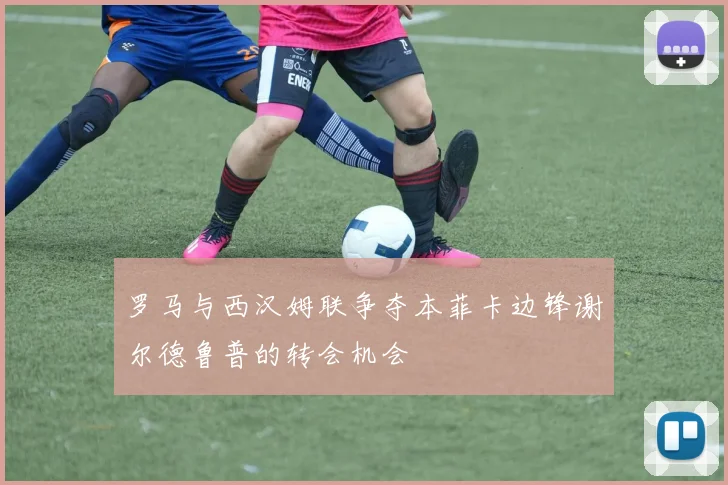 罗马与西汉姆联争夺本菲卡边锋谢尔德鲁普的转会机会