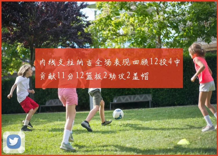 内线支柱纳吉全场表现回顾12投4中贡献11分12篮板2助攻2盖帽